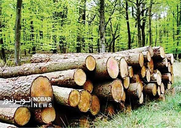 نیاز ضروری جنگلهای ارسباران به نیروهای حفاظتی