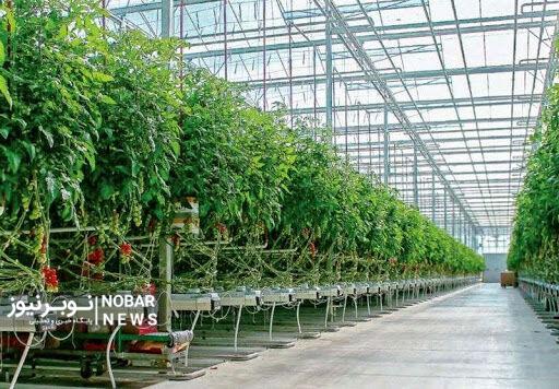 یکهزار و ۲۳۰ میلیارد ریال طرح کشاورزی در آذربایجانشرقی افتتاح میشود