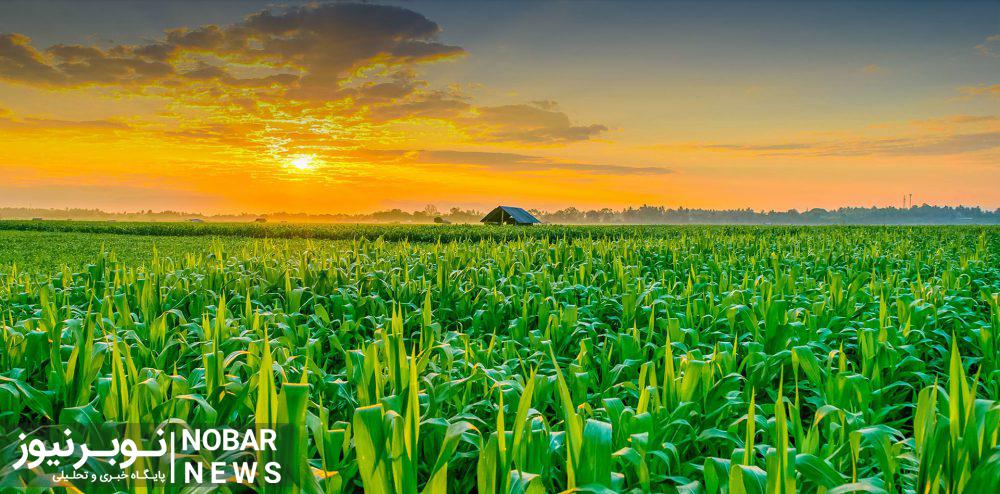 توصیههای هواشناسی کشاورزی برای کشاورزان آذربایجان شرقی تا اواخر هفته