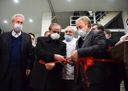 افتتاح خطوط تولیدی جدید در شیرین عسل/ اشتغالزایی برای یک هزار و ۱۰۰ جوان در استان