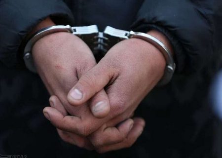 دستگیری ۶۰ متخلف زیست محیطی در استان
