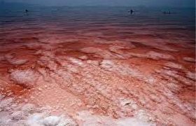 سرمایه‌گذاری میلیاردی برای احیای دریاچه ارومیه