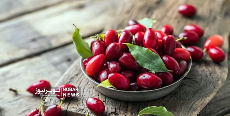 تولید بیش از1100 تن زغال اخته در استان آذربایجانشرقی