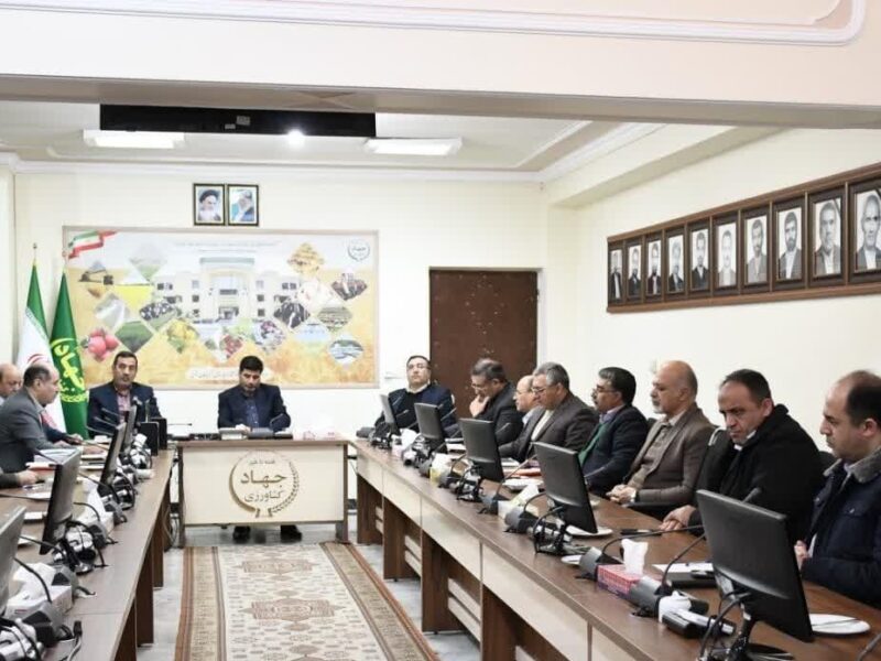 حمایت از زراعت چوب در آذربایجانشرقی