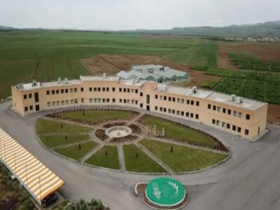 معرفی ۵ رقم جدید گندم دوروم در کشور