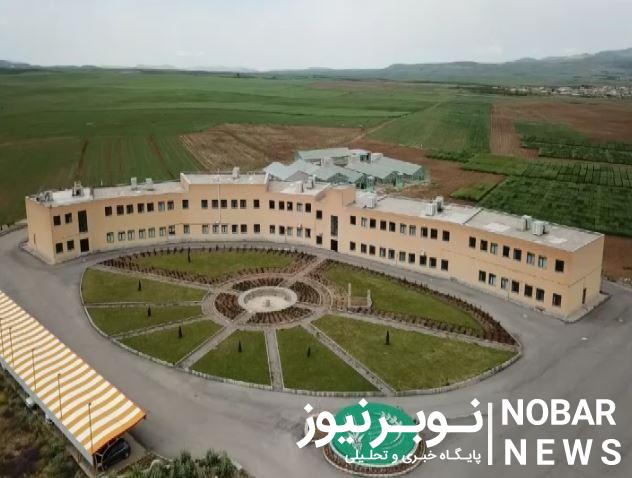 معرفی ۵ رقم جدید گندم دوروم در کشور