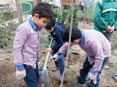 مدارس آذربایجان شرقی سبز می‌‌شوند