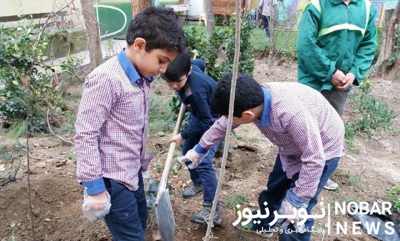 مدارس آذربایجان شرقی سبز می‌‌شوند