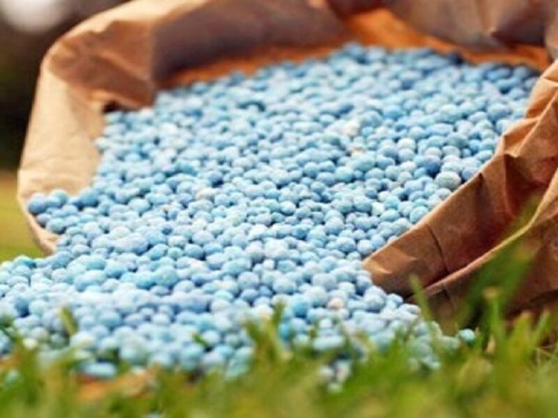 کشف کودشیمیایی احتکار شده در عجبشیر