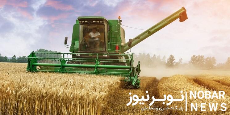 خرید ۵۸ هزار تن گندم در آذربایجان شرقی