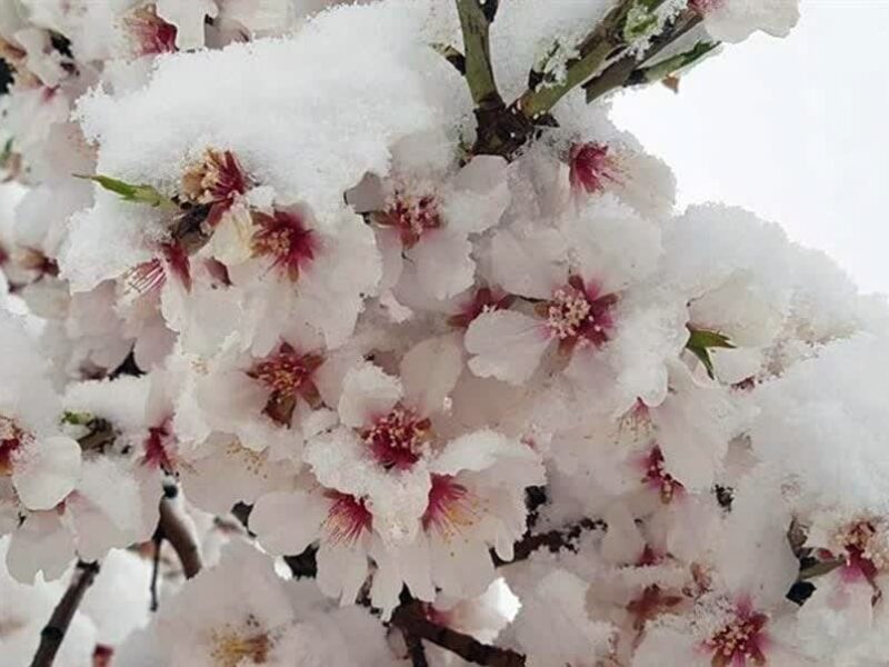 هشدارهای هواشناسی کشاورزی در آذربايجان شرقی