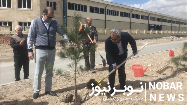 کاشت ۴ هزار و ۵۰۰ اصله نهال و درختچه در شهرکها و نواحی صنعتی آذربایجان شرقی